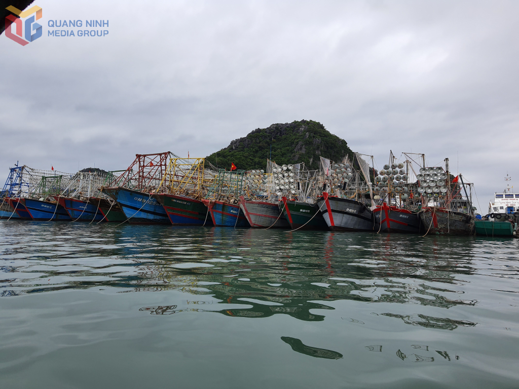 Tỉnh Quảng Ninh đặt mục tiêu giảm tàu khai thác ven bờ, tăng số lượng tàu khai thác vùng lộng, vùng khơi.