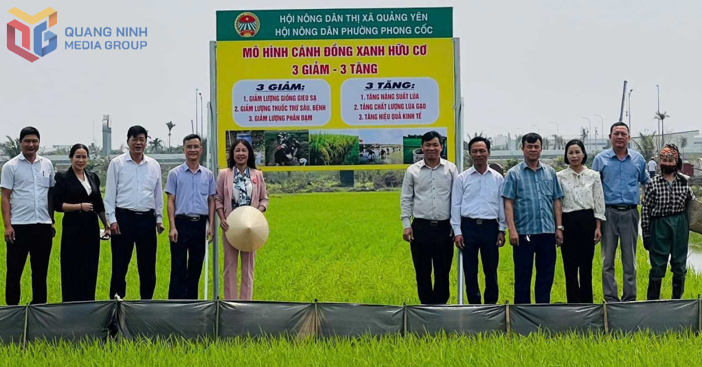 HND TX Quảng Yên triển khai mô hình