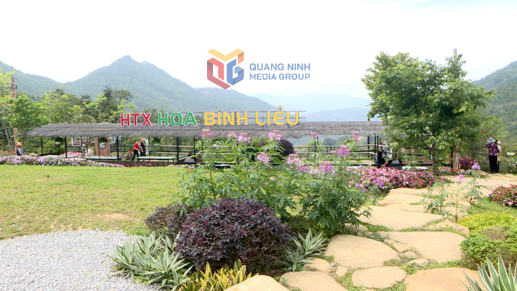 Du khách đến HTX Hoa Bình Liêu mùa hè này được trải nghiệm nhiều sản phẩm du lịch mới hấp dẫn (Ảnh: Đỗ Hùng)