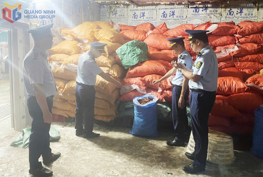 Lực lượng QLTT bắt giữ gần 8 tấn chân gà không rõ nguồn gốc tại TP Móng Cái ngày 25/5/2025.
