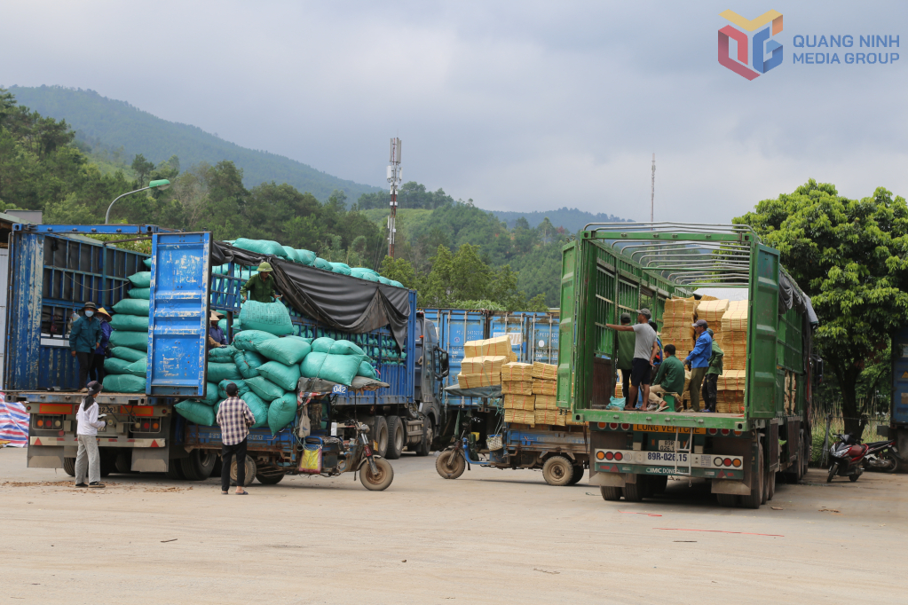 Bốc xếp hàng hoá XNK tại cửa khẩu Hoành Mô