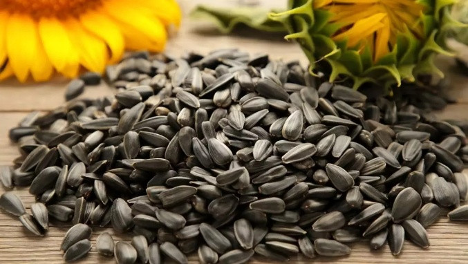 Lợi ích khi ăn hạt hướng dương- Ảnh 1. Hạt hướng dương