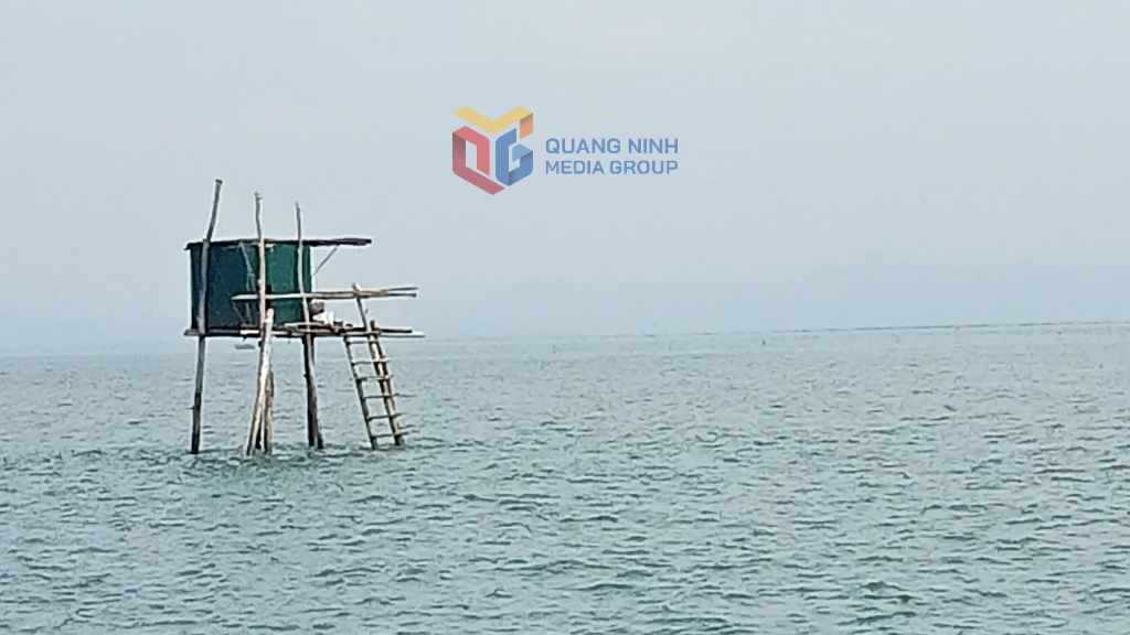 Chòi canh ngao, nghêu của HTX Nuôi trồng thủy sản Thành Vân.