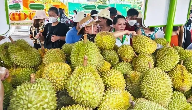 Sức hút của nông sản Việt - Ảnh 1. Sức hút của nông sản Việt - Ảnh 1.