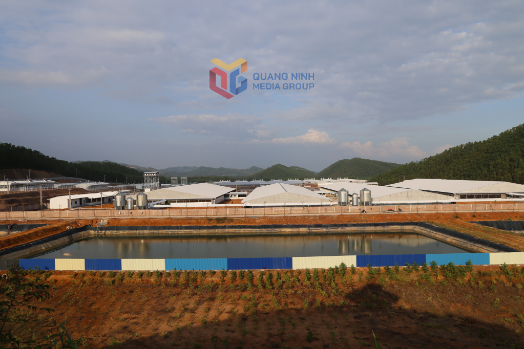 Dự án chăn nuôi lợn công nghệ cao tại xã Quảng Sơn, huyện Hải Hà