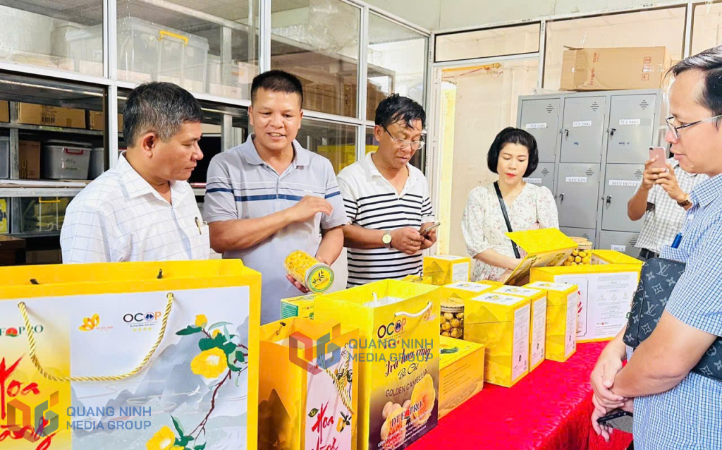Anh Nịnh Văn Trắng, xã Đạp Thanh, huyện Ba Chẽ (thứ 2 từ trái sang), giới thiệu về sản phẩm OCOP 5 sao trà hoa vàng. Ảnh: Việt Hoa