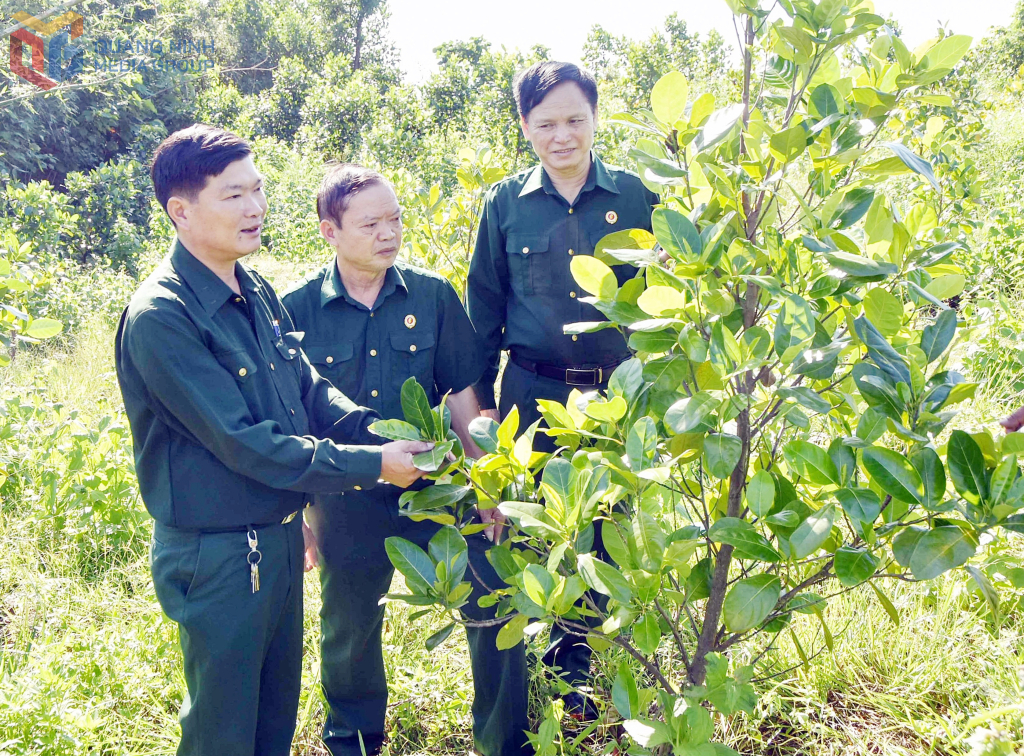 Hội CCB huyện Vân Đồn thăm mô hình phát triển kinh tế thôn Đầm Tròn, xã Bình Dân..