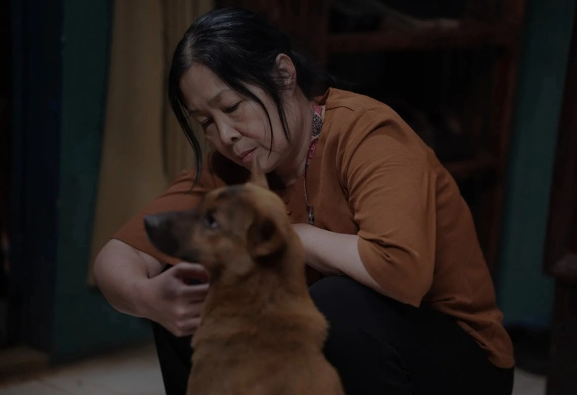 Phim Tìm xác trở lại với diện mạo mới - Ảnh 1. Phim Tìm xác trở lại với diện mạo mới - Ảnh 1.