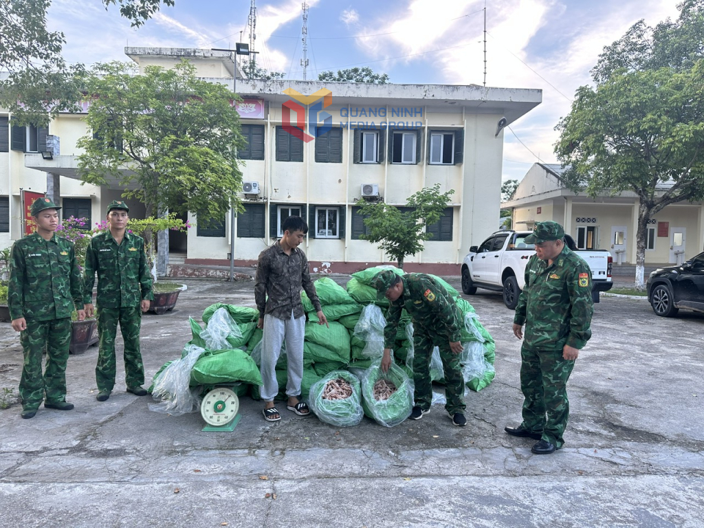 Đối tượng và tang vật bị BĐBP bắt giữ
