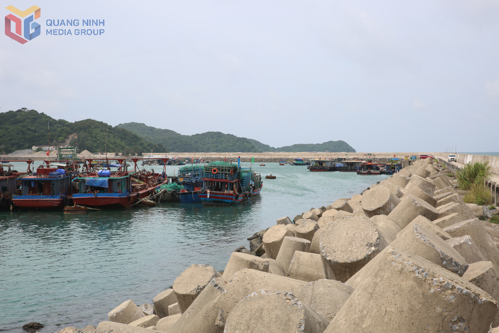 Hạng mục đê chắn sóng Khu neo đậu tránh trú bão cho tàu cá đảo Cô Tô.