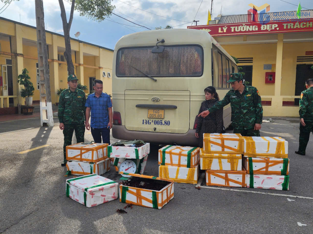 Đồn BP Hoành Mô (BĐBP Quảng Ninh) bắt giữ đối tượng vận chuyển trái phép thực phẩm không rõ nguồn gốc trên khu vực biên giới
