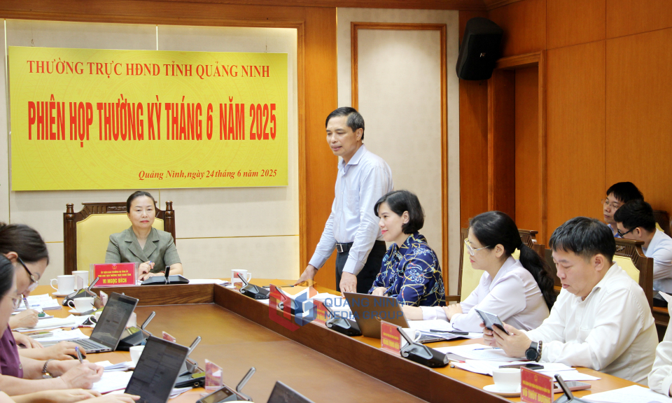 Đồng chí Vũ Văn Diện, Phó Chủ tịch Thường trực UBND tỉnh, phát biểu tại phiên họp.