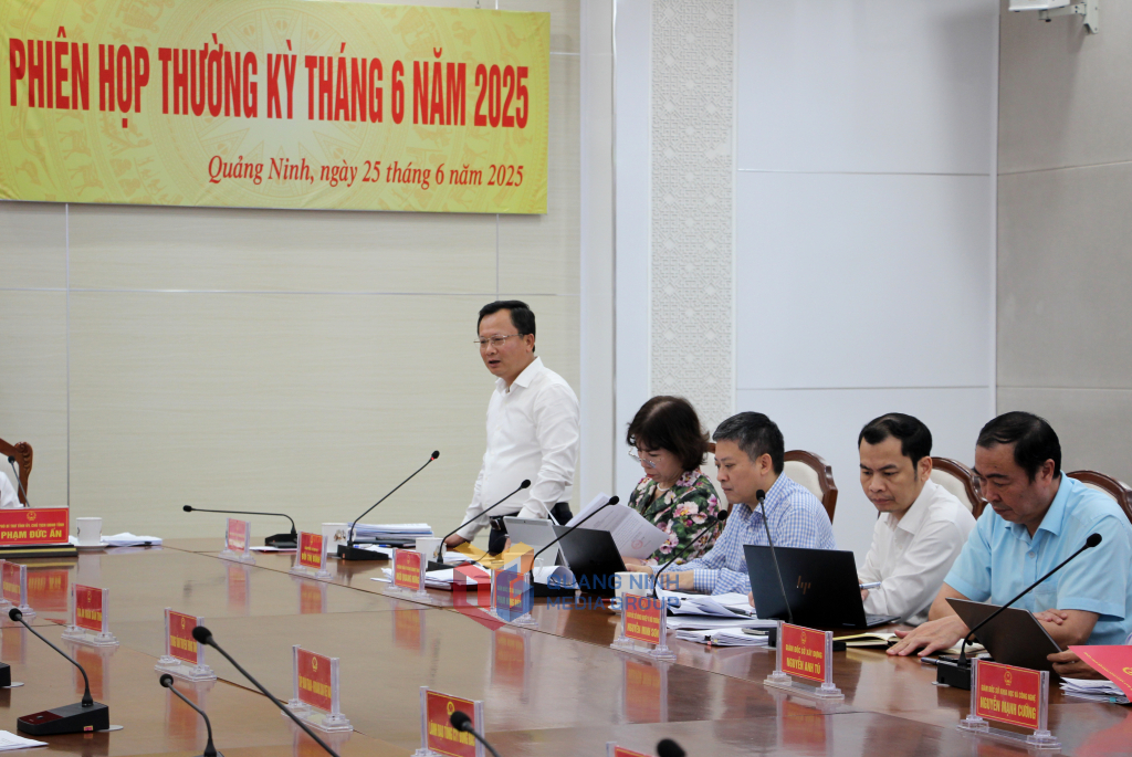Đồng chí Cao Tường Huy, Phó Chủ tịch UBND tỉnh, phát biểu tại phiên họp.
