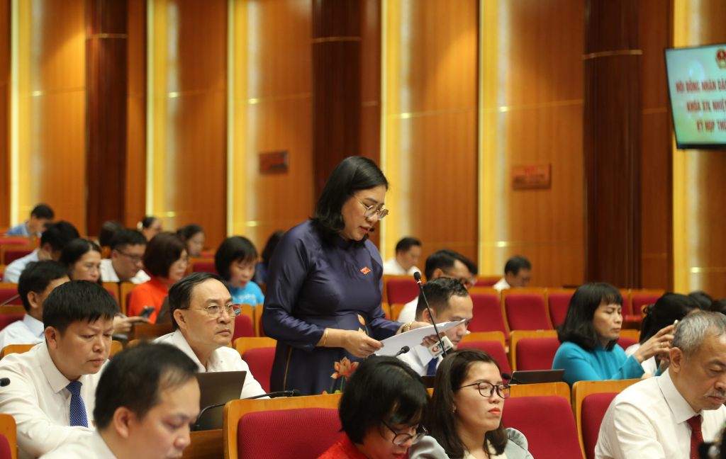 Đại biểu Bùi Thị Hải, tổ đại biểu HĐND TP Hạ Long