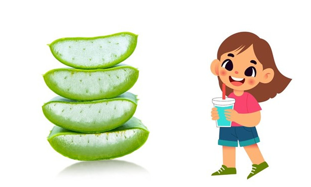 Giải nhiệt mùa hè với ba loại nước uống thanh mát, dễ làm tại nhà