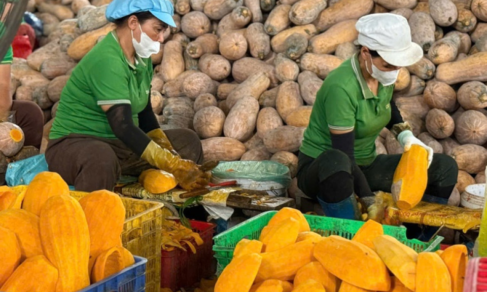 Xuất khẩu nhiều sản phẩm nông sản chủ lực tăng giá trị