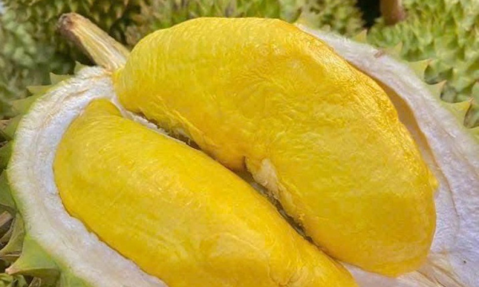 9 biện pháp thúc đẩy xuất khẩu sầu riêng