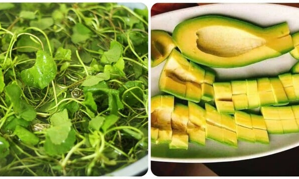 5 loại rau quả giúp hạ men gan hiệu quả