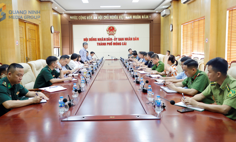 Đoàn công tác của Cục Chăn nuôi và Thú y làm việc với thành phố Móng Cái