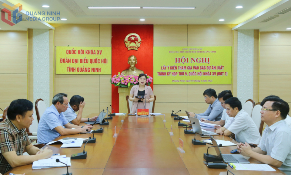 Đoàn ĐBQH tỉnh lấy ý kiến tham gia vào các dự án Luật trình Kỳ họp thứ 9 (đợt 2)