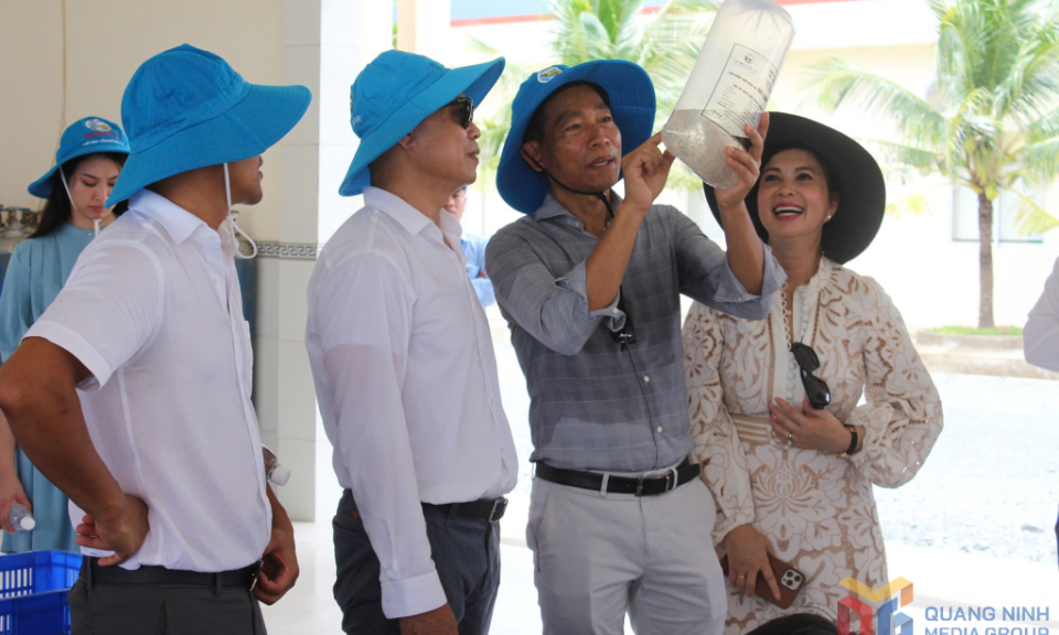 Đưa Quảng Ninh thành trung tâm cung ứng tôm giống chất lượng cao