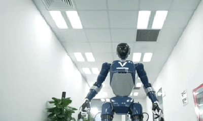 Lộ video robot hình người 'Made in Vietnam' của tỷ phú Phạm Nhật Vượng