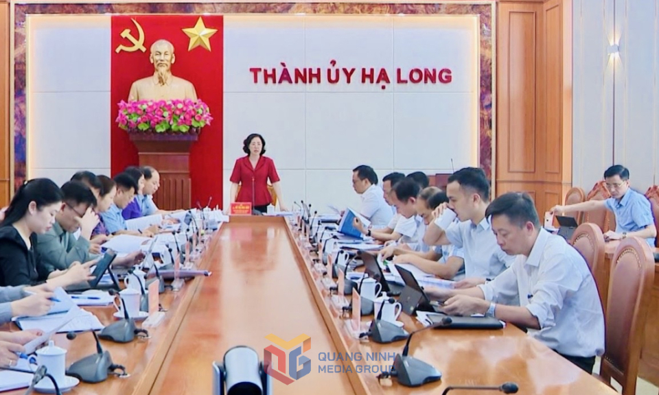 TP Hạ Long: Củng cố bộ máy, chuẩn bị cho giai đoạn phát triển mới