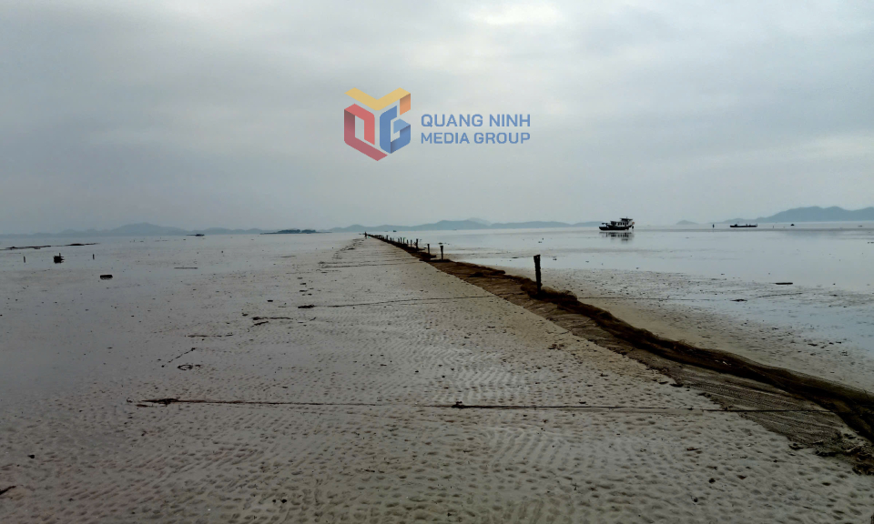 Huyện Hải Hà: Tăng cường công tác quản lý nhà nước về đất đai, tài nguyên, môi trường (