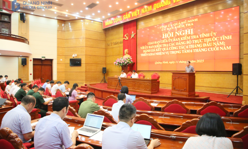 Giao ban công tác kiểm tra, giám sát 6 tháng đầu năm 2025
