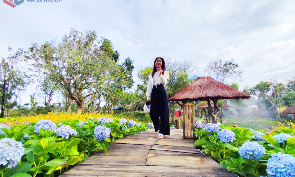 Khám phá thiên đường hoa bên biển Hồng Vàn