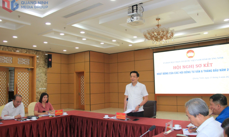 Sơ kết hoạt động 6 tháng đầu năm của các Hội đồng tư vấn