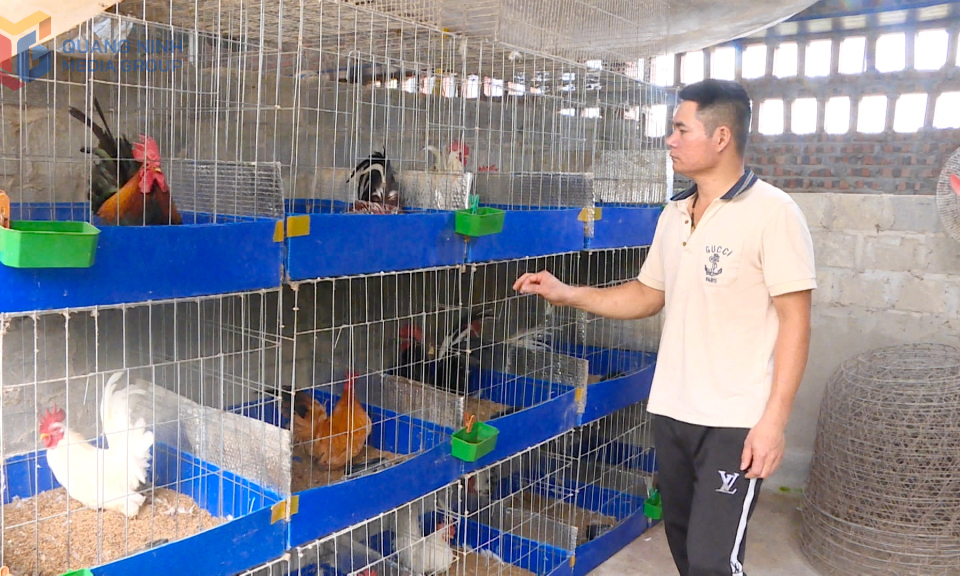 Đồng hành cùng nông dân làm giàu
