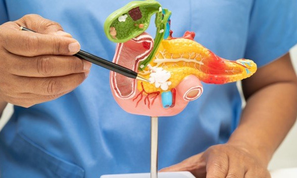 Những dấu hiệu thường gặp cảnh báo men gan tăng