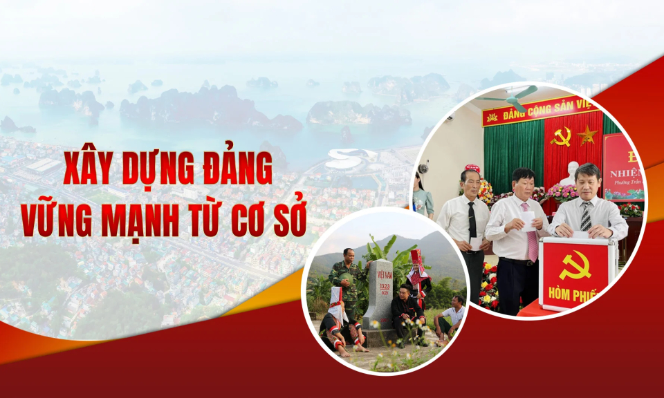 Ảnh căn trái
