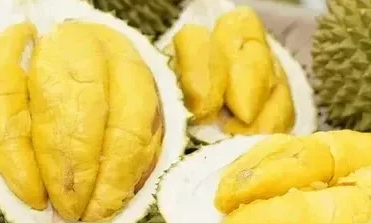 Sầu riêng đông lạnh Việt "rộng đường" vào Trung Quốc