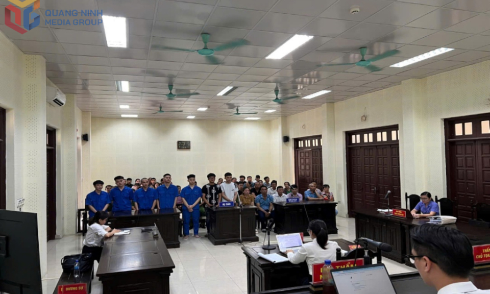 Xét xử nhóm thanh thiếu niên đập phá, cướp biển số xe máy khoe chiến tích trên mạng xã hội