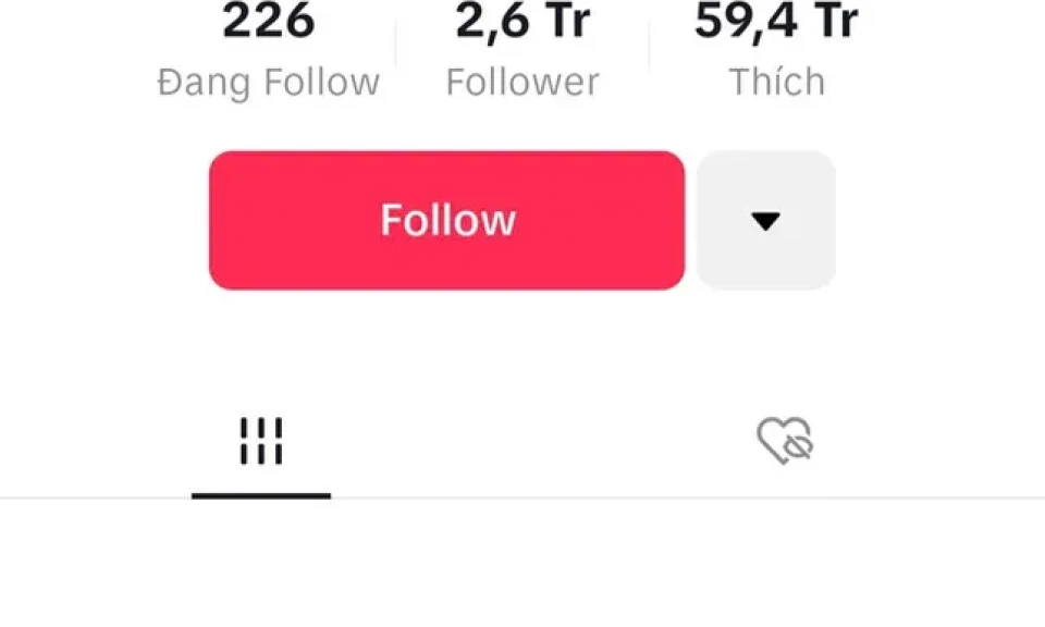 Chủ kênh TikTok 'Gia đình Hải Sen' có 2,6 triệu người theo dõi bị bắt