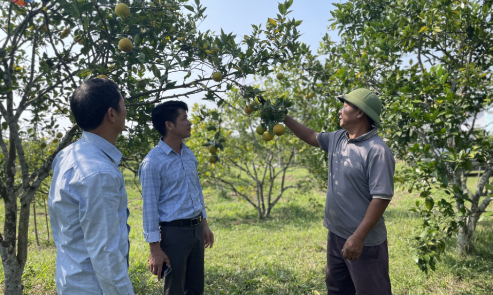 Sẵn sàng cho tổng điều tra nông nghiệp, nông thôn