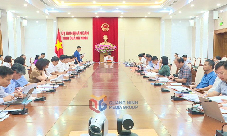 Ban Thường vụ Đảng ủy UBND tỉnh làm việc với các Đảng ủy cơ sở