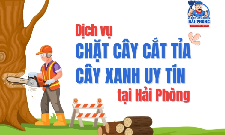 HOANGHUYCLEAN dịch vụ chặt cây, cắt tỉa cây xanh tại Hải Phòng