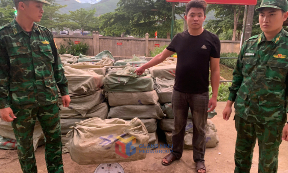 Bắt giữ gần 3 tấn nầm lợn đông lạnh không rõ nguồn gốc