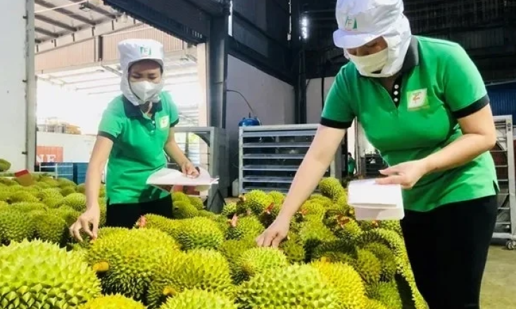 Trái cây Việt ra sao khi Trung Quốc tăng nhập khẩu của nước khác?