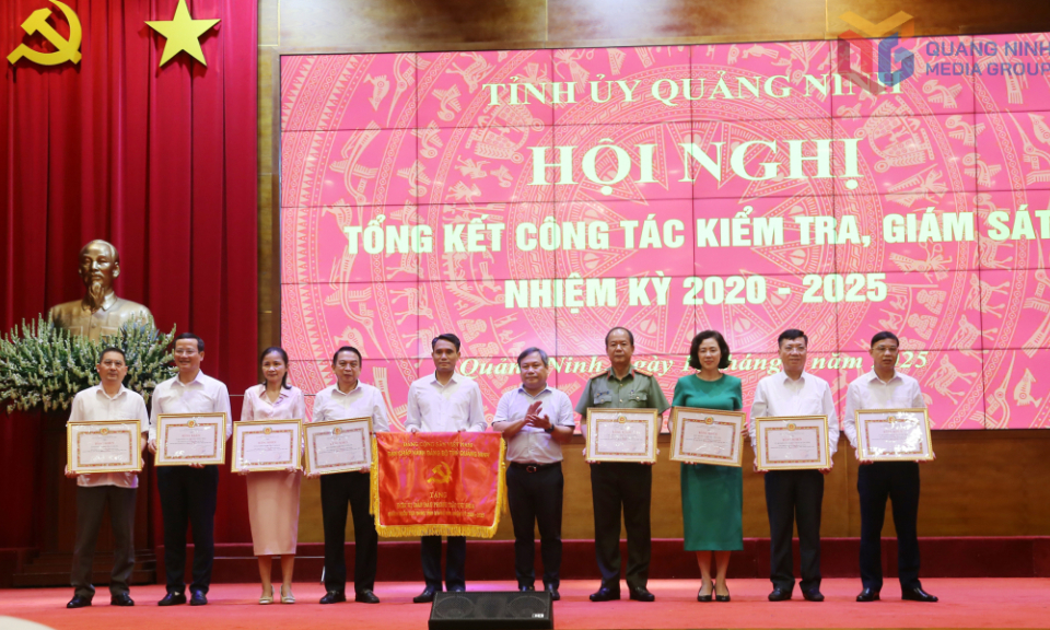 Tổng kết công tác kiểm tra, giám sát nhiệm kỳ 2020-2025