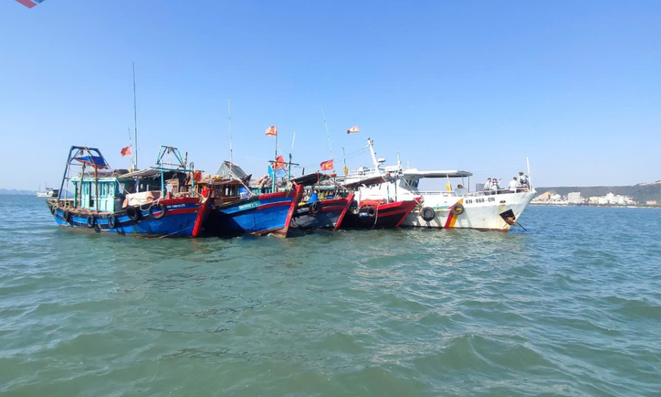 Tăng cường kiểm soát việc chấp hành các quy định về khai thác IUU