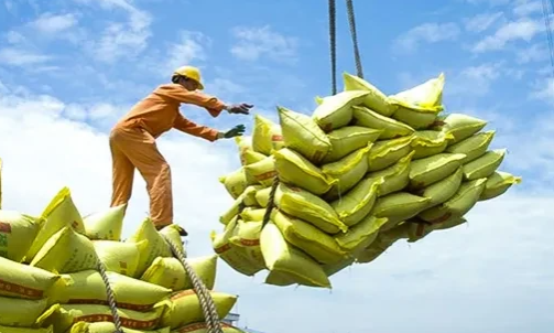 Việt Nam thu về 2,34 tỷ USD nhờ xuất khẩu gạo