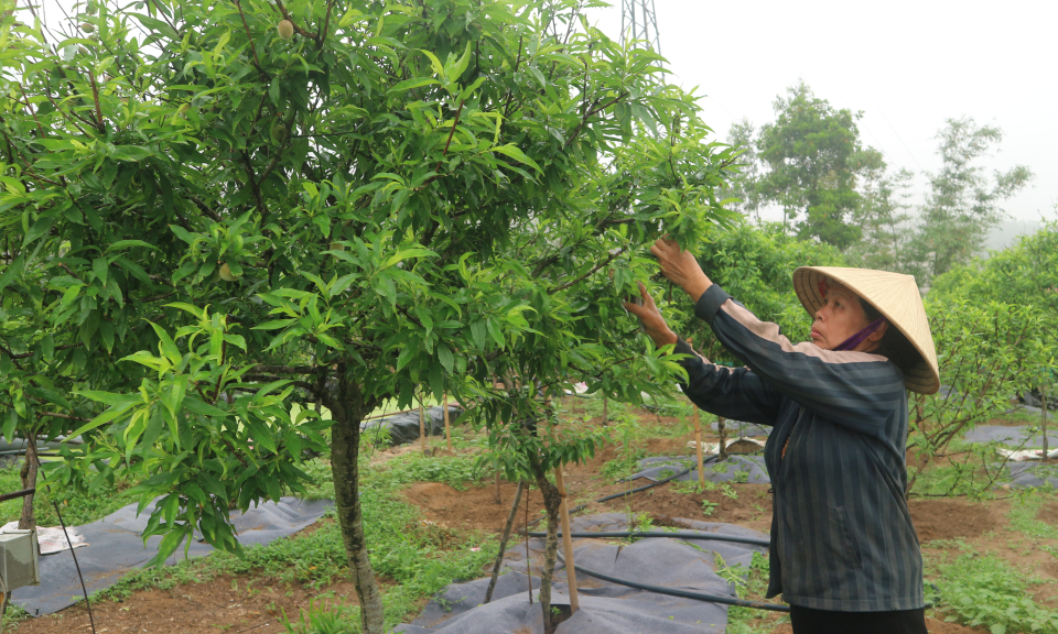 Vì mục tiêu hạnh phúc của người dân