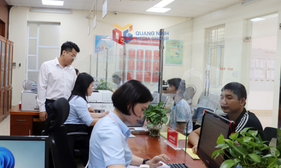 Đảng bộ phường Cao Xanh: Kiện toàn tổ chức, chuẩn bị kỹ lưỡng đại hội