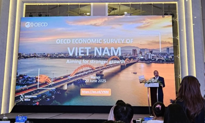OECD's survey projects growth of 6.2 per cent in 2025