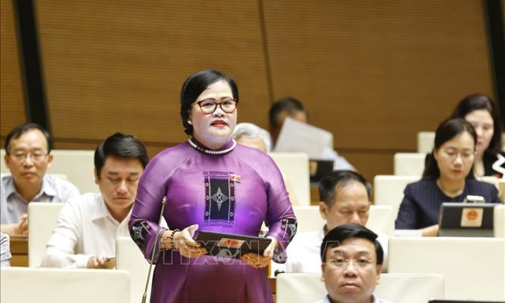 Quốc hội thảo luận về cơ chế xử lý khó khăn, vướng mắc do quy định của pháp luật
