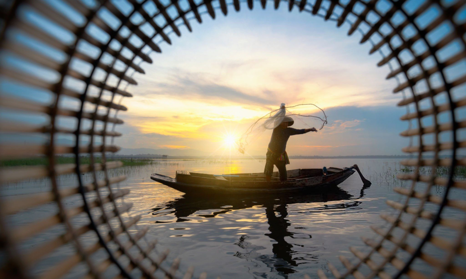 Ảnh trong văn bản